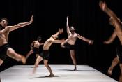 Az izraeli Roy Assaf táncegyüttes Boys című előadása (Mónus Márton fotója)