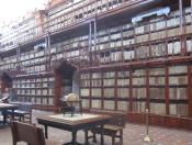 Biblioteca Palafoxiana 08